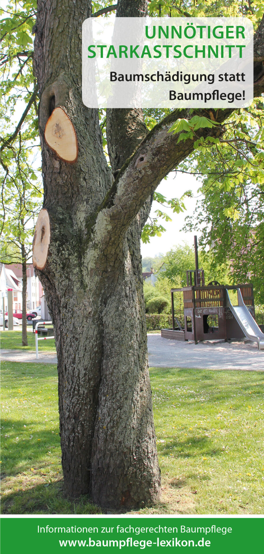 folderstarkastschnitt